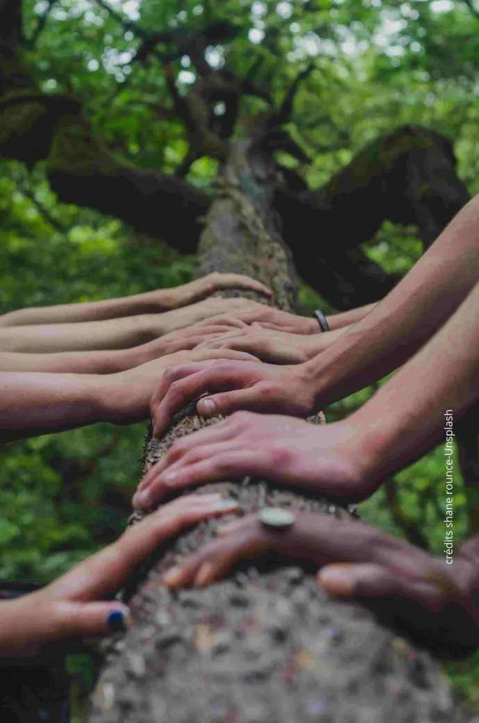 mains ensemble sur un arbre